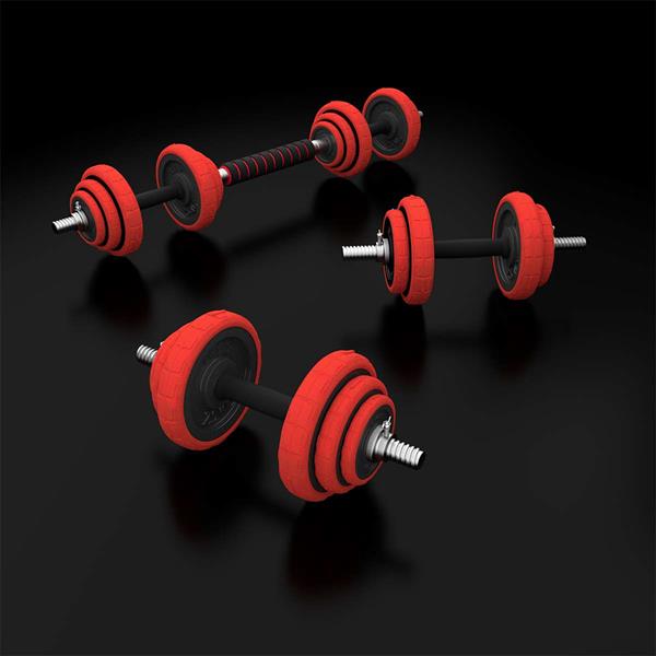 SGGX20 SET MANUBRI REGOLABILI 20 KG - immagine 5