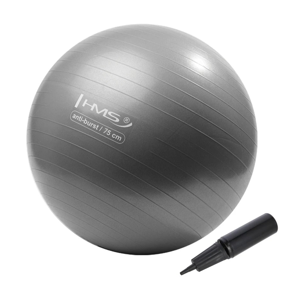 YB02N PALLA FITNESS GRIGIA 75CM