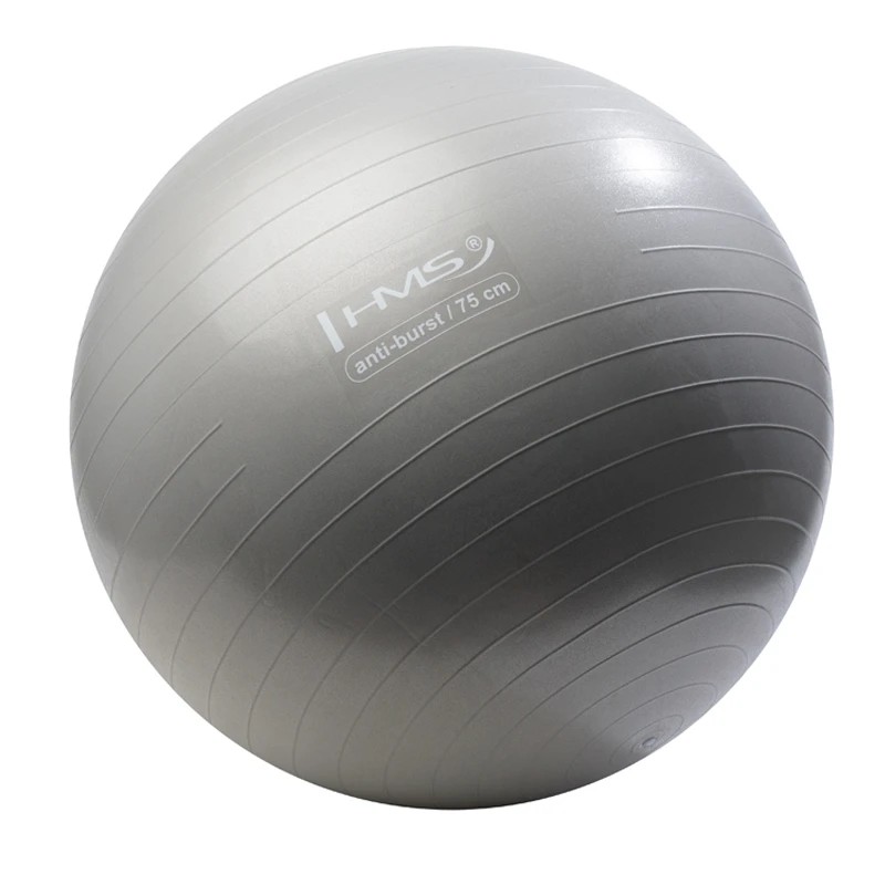 YB02N PALLA FITNESS GRIGIA 75CM - immagine 2