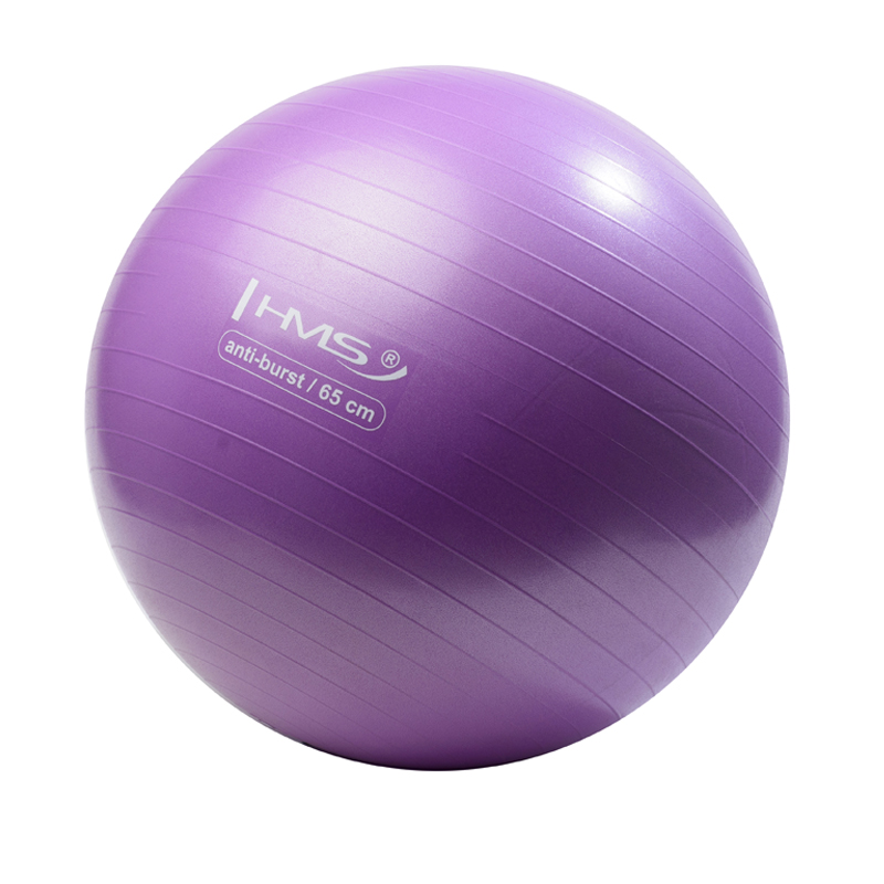 YB02N PALLA FITNESS PORPORA 65CM